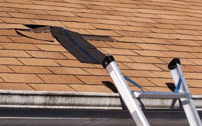 How Commercial Roof Maintenance in Bismarck, ND Prevents Costly Repairs for Businesses