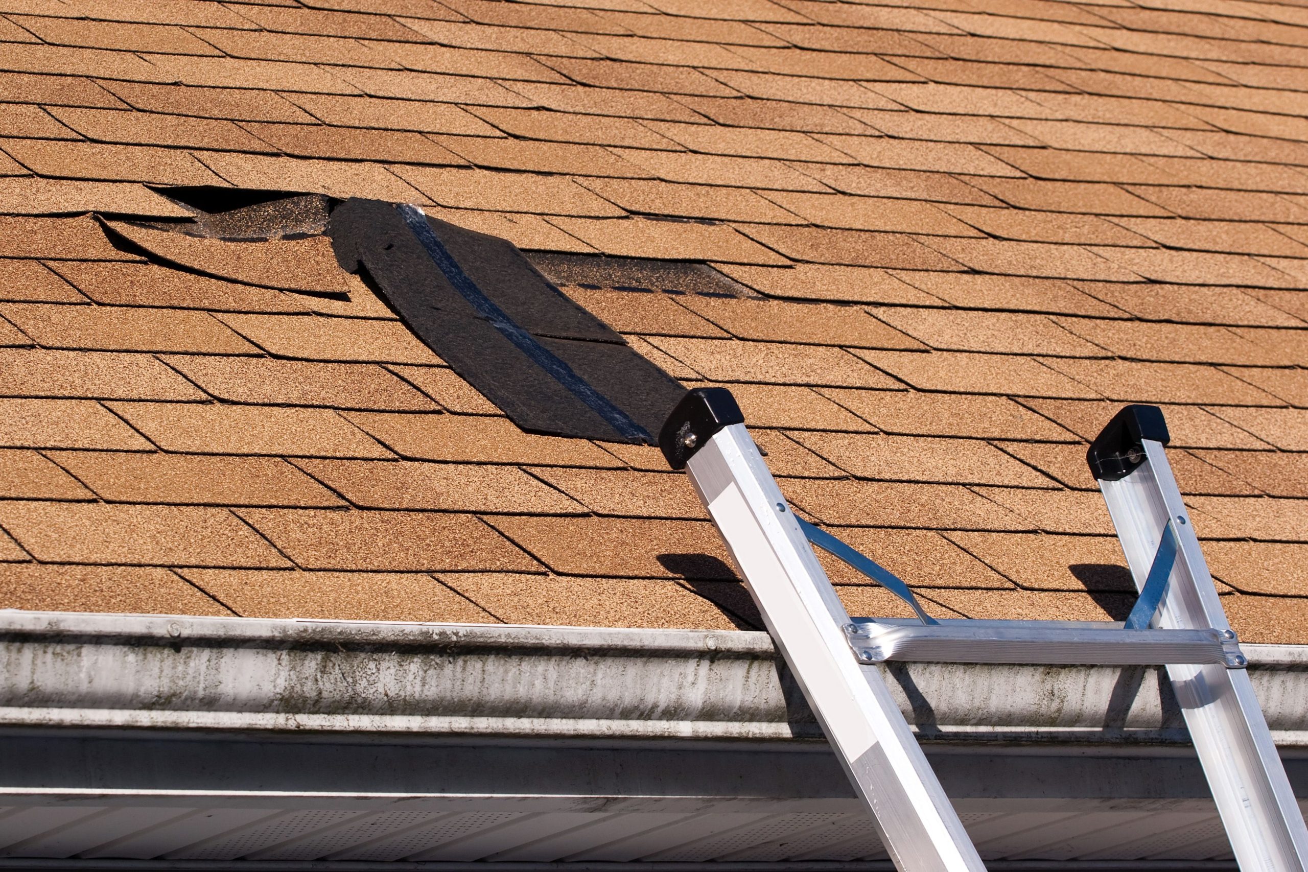 How Commercial Roof Maintenance in Bismarck, ND Prevents Costly Repairs for Businesses