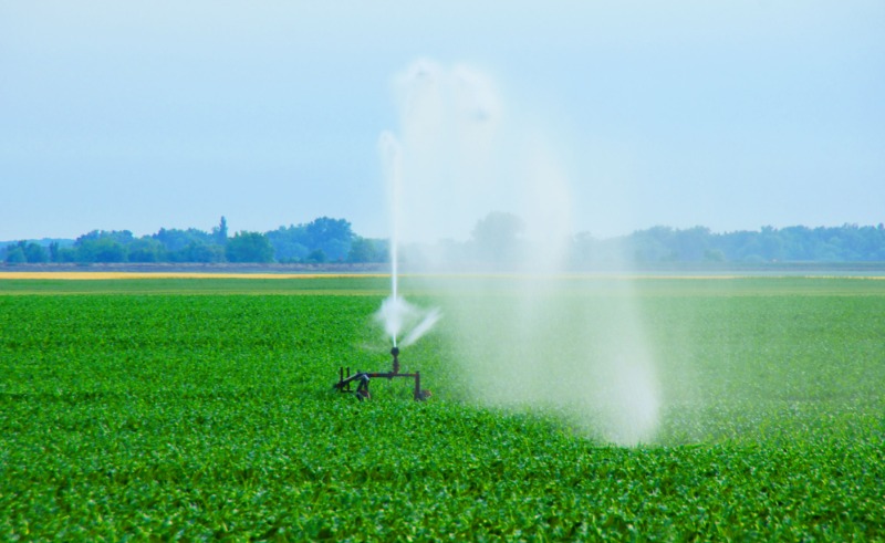 Restore Curb Appeal Fast with Reliable Sprinkler Repair In Denver, CO Services