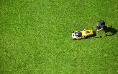 Prevent Common Lawn Issues with Lawn Aeration Services in Germantown, TN
