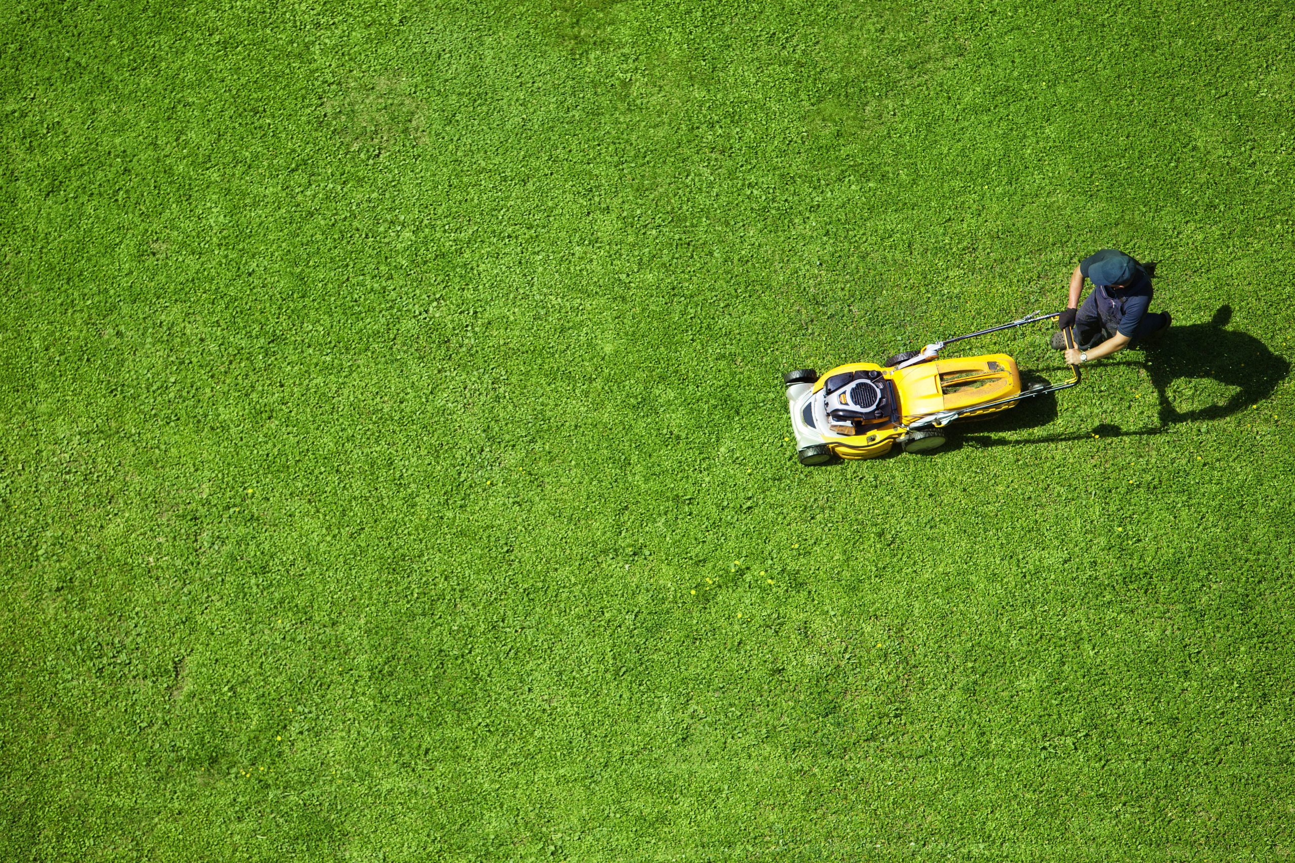 Prevent Common Lawn Issues with Lawn Aeration Services in Germantown, TN