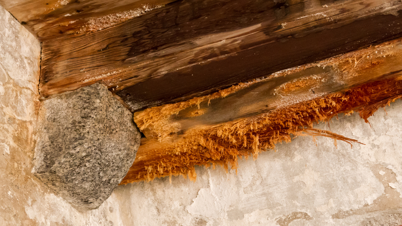 Protect Your Home From Lasting Effects With Emergency Water Damage Cleanup in Joliet, IL