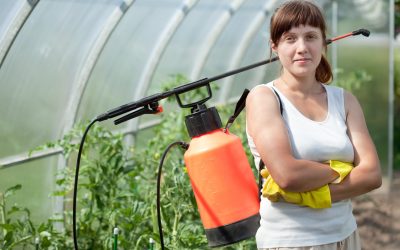 Achieve Greener Gardens with Iron Fertilizer Solutions for Homeowners