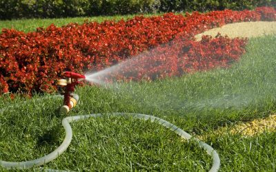 Transform Your Grass With Innovative Lawn Irrigation Schererville IN Solutions