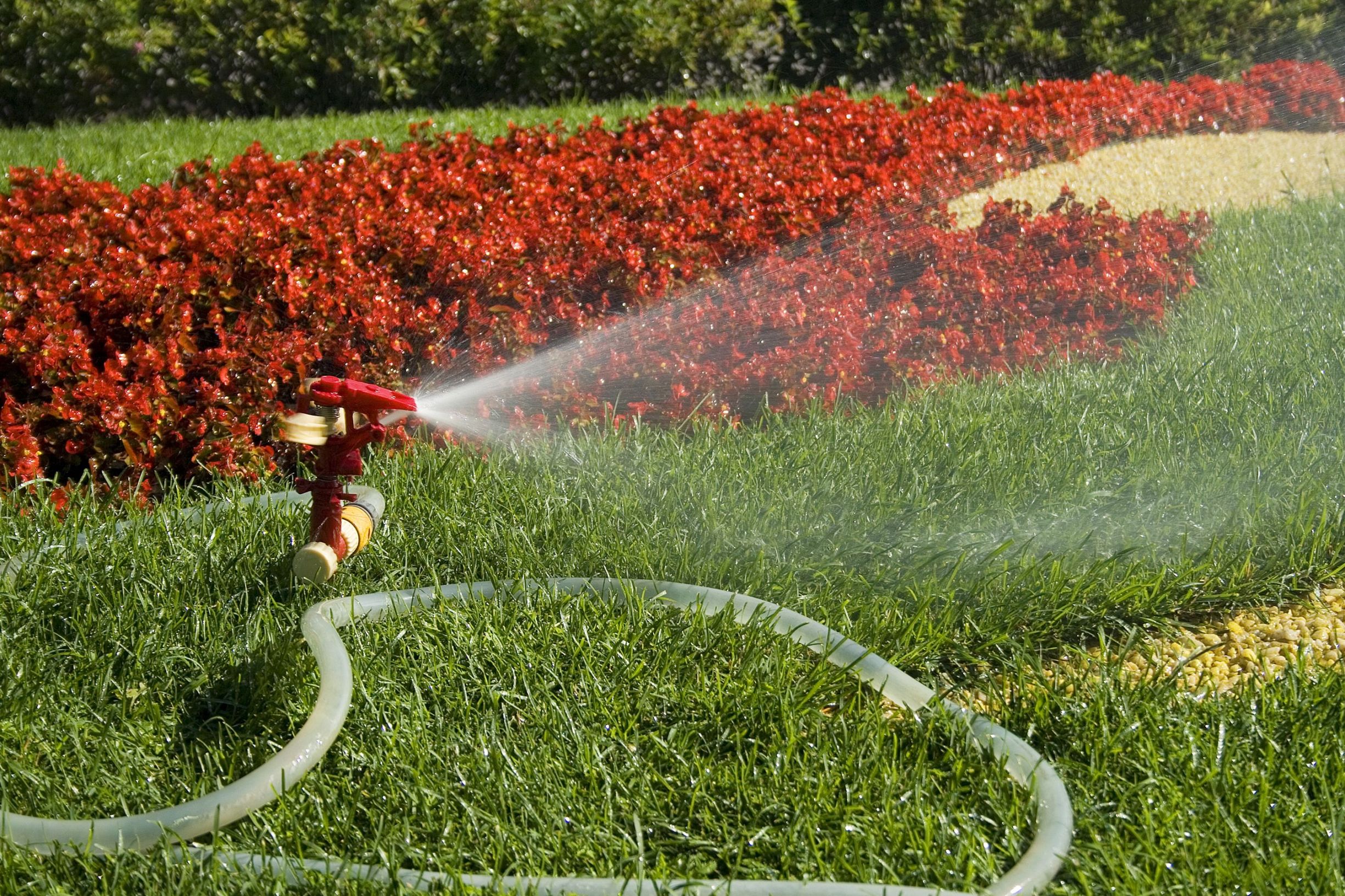 Transform Your Grass With Innovative Lawn Irrigation Schererville IN Solutions