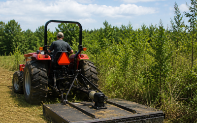 Improve Land Efficiency with Bush Hogging in Santa Rosa Beach, FL for Clean and Safe Properties