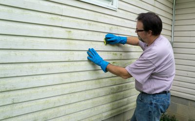 Why Homeowners Choose Water Restoration Services in Murfreesboro, TN for Peace of Mind