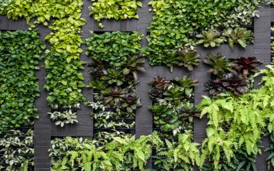 Boost Productivity and Wellbeing With the Right Office Plant Miami Solutions for Workspaces