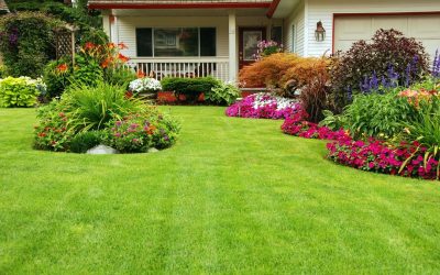 Boost your property value with landscaping designs in Twin Cities residents recommend most