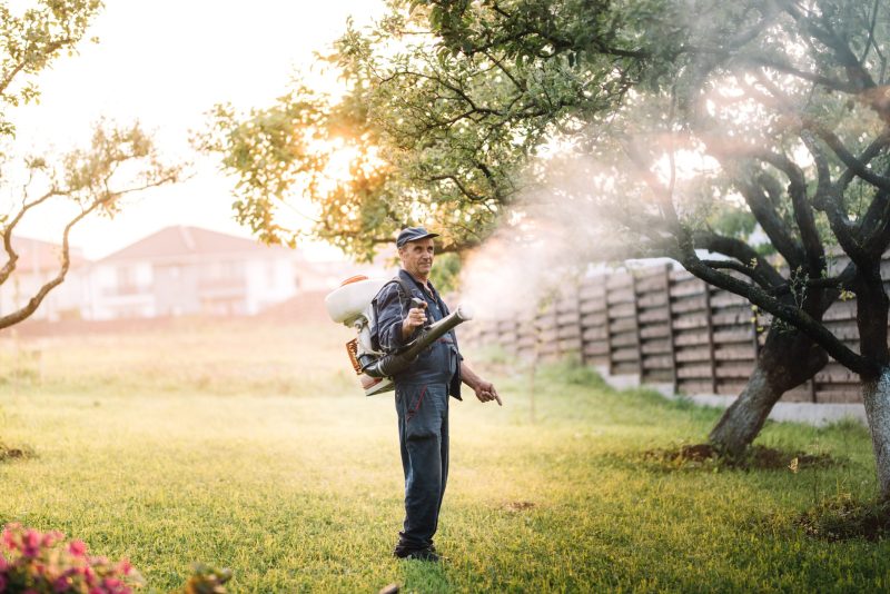 Protect Your Family with Reliable Mosquito Control Near Peachtree City GA Solutions