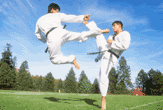 Family Martial Arts Program: Building Healthy Habits Together