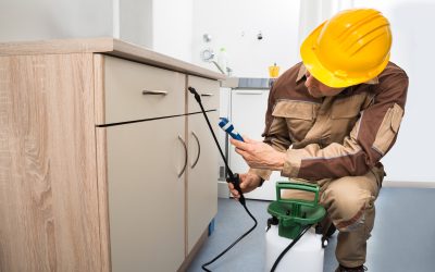 Safeguard Your Home Year-Round With Pest Control Service Fort Wayne IN Solutions