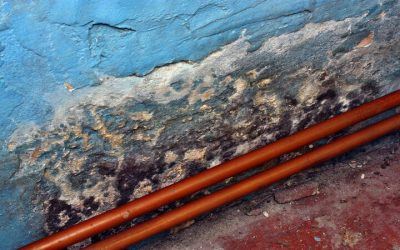 Protect Your Home From Water Damage With Basement Waterproofing In Cincinnati, OH Solutions