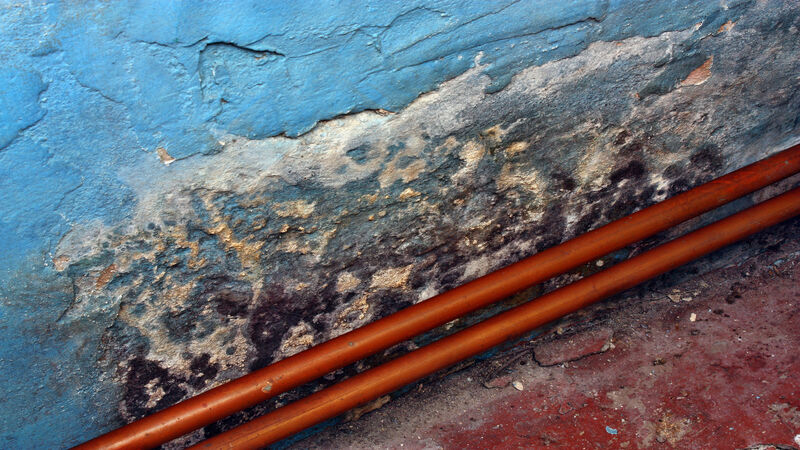 Protect Your Home From Water Damage With Basement Waterproofing In Cincinnati, OH Solutions