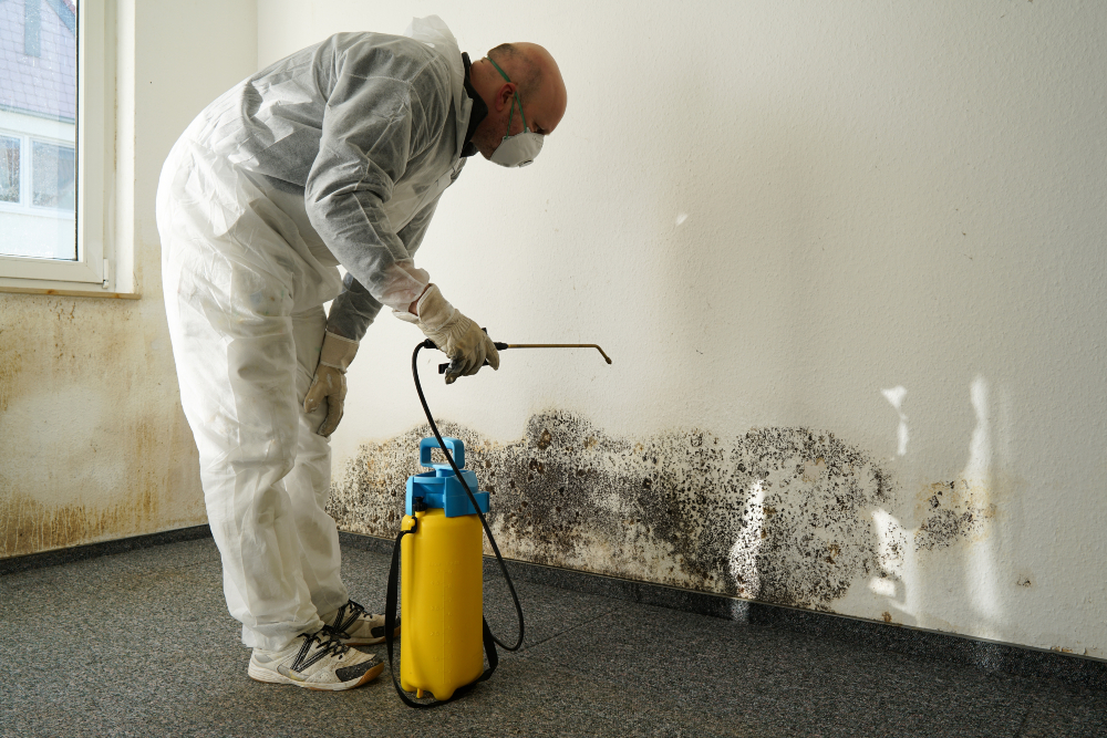 Protect Your Property Using Residential Water Damage Services, Poughkeepsie, NY
