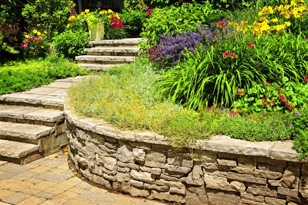 Prevent Lawn Damage with Expert Strategies for Crabgrass in Minneapolis, MN Residents Should Know