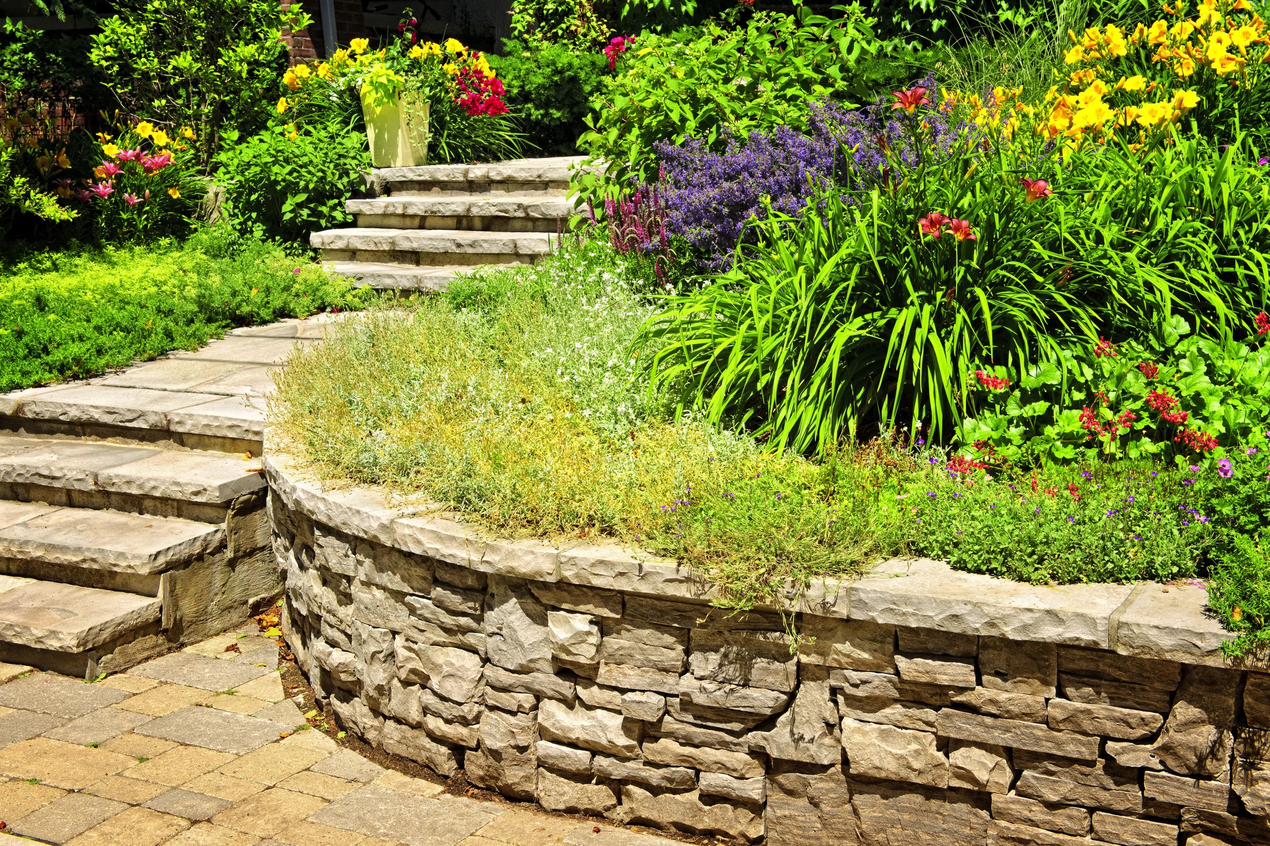 Prevent Lawn Damage with Expert Strategies for Crabgrass in Minneapolis, MN Residents Should Know