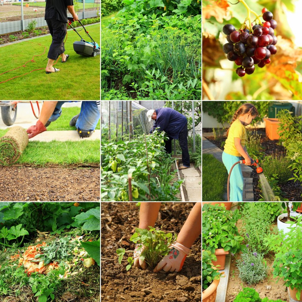 Solutions from a Residential Landscape Designer, Pewaukee, WI for Lasting Beauty