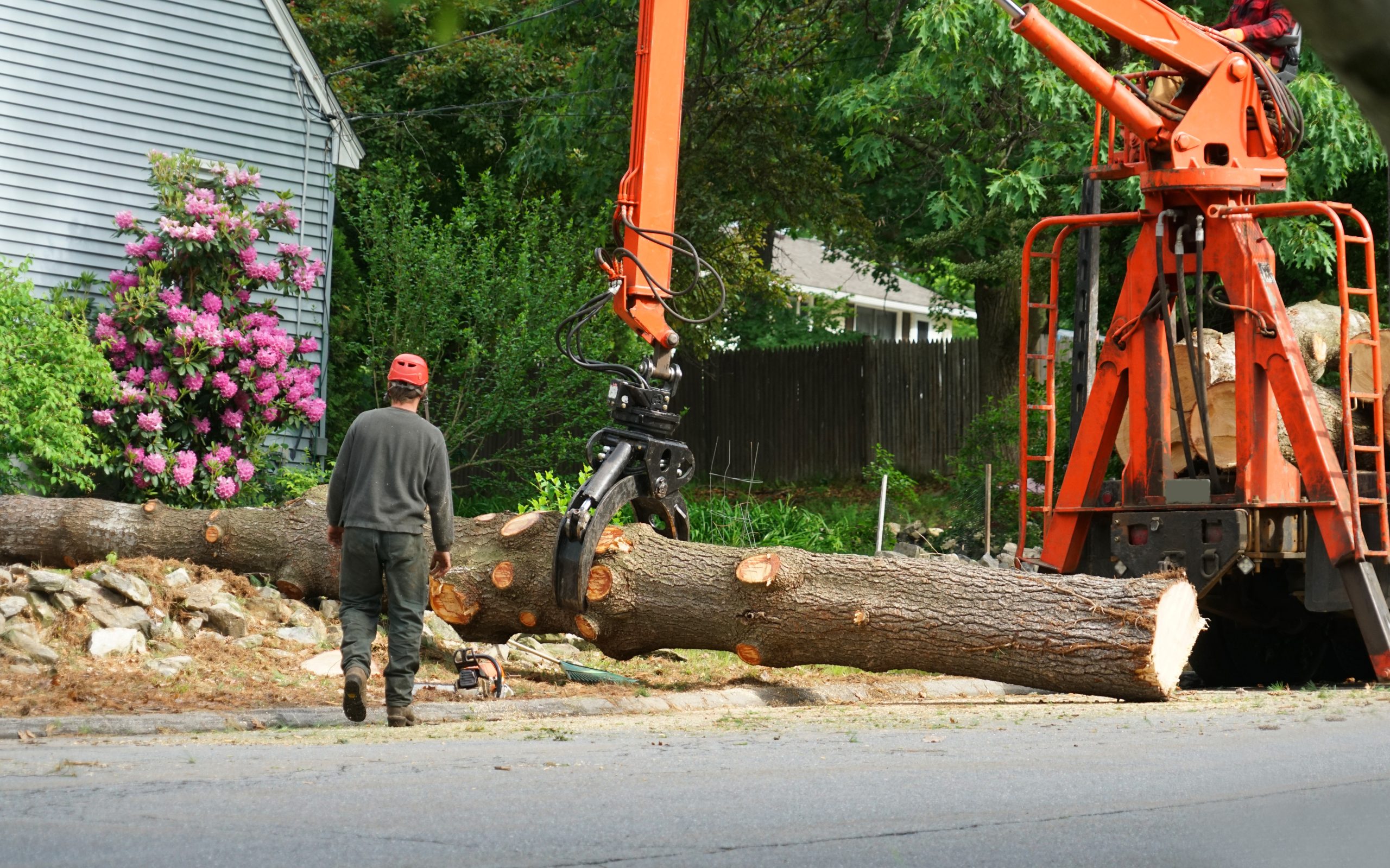Safe and Reliable Tree Removal Snohomish WA Solutions for Residential Properties
