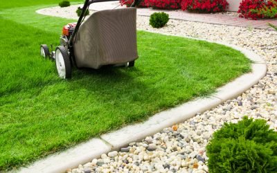 Simple Steps to Better Curb Appeal Through Lawn Care Maintenance Omaha NE Solutions