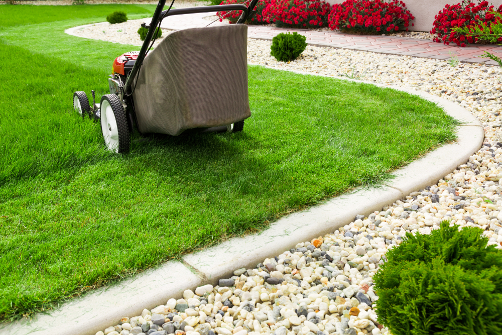 Simple Steps to Better Curb Appeal Through Lawn Care Maintenance Omaha NE Solutions