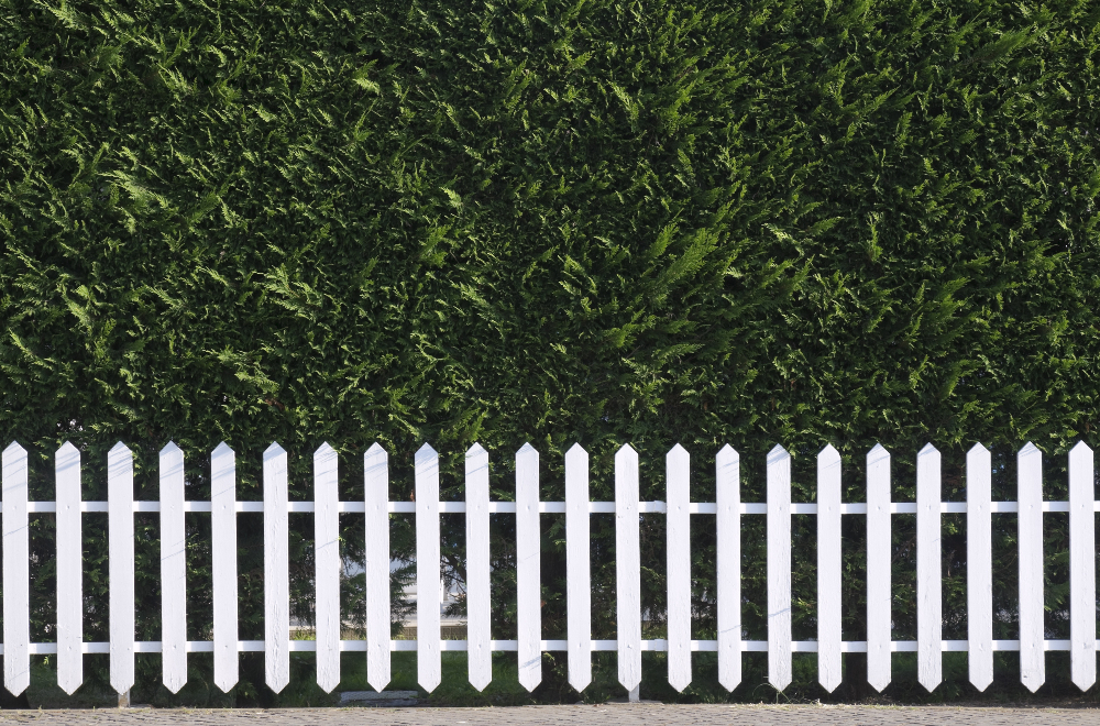 Why Choosing a Custom Fencing Contractor Pensacola FL Makes Home Projects Simple