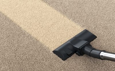 How Professional Area Rug Cleaning Near Jefferson, WI, Protects Your Flooring